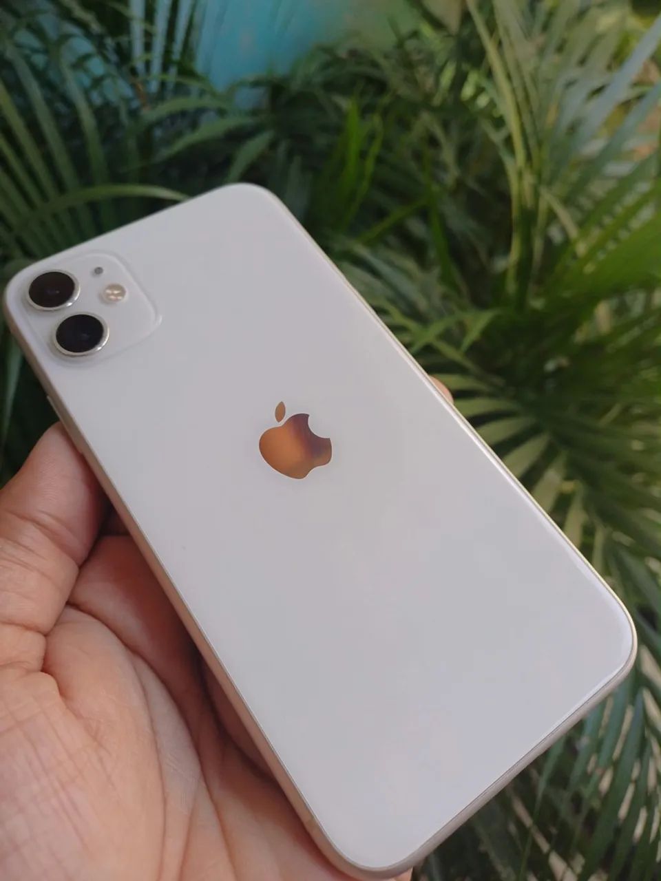 iPhone 11 64GB (Bem Conservado)
