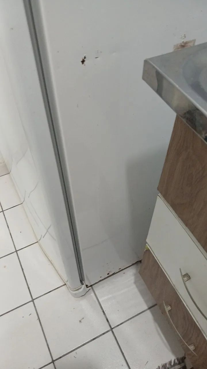 Geladeira de uso próprio  - Foto 2