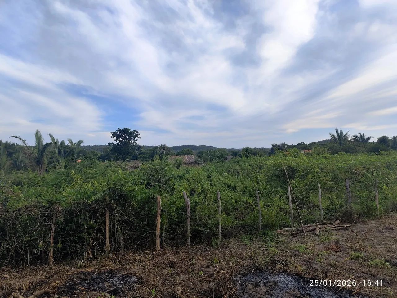Terreno em união-pi (povoado divinopolis) - Foto 4