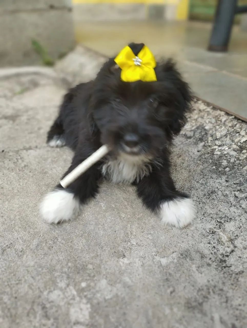 Doação! - Foto 4