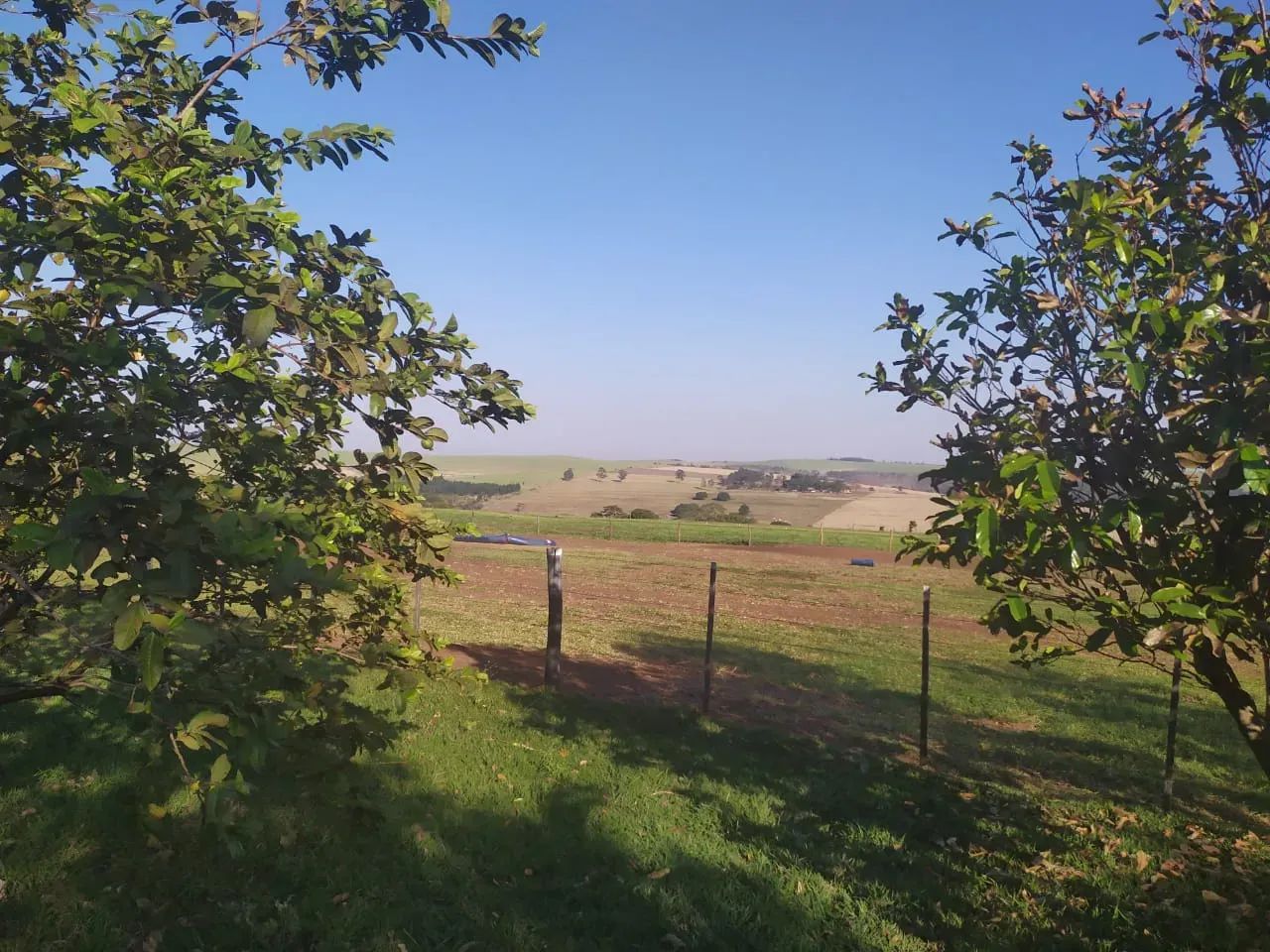 Fazenda em Munhoz de Melo - Paraná - Foto 3