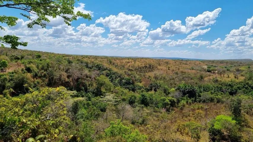 Fazenda em Miracema do Tocantins - 41,5824 hectares