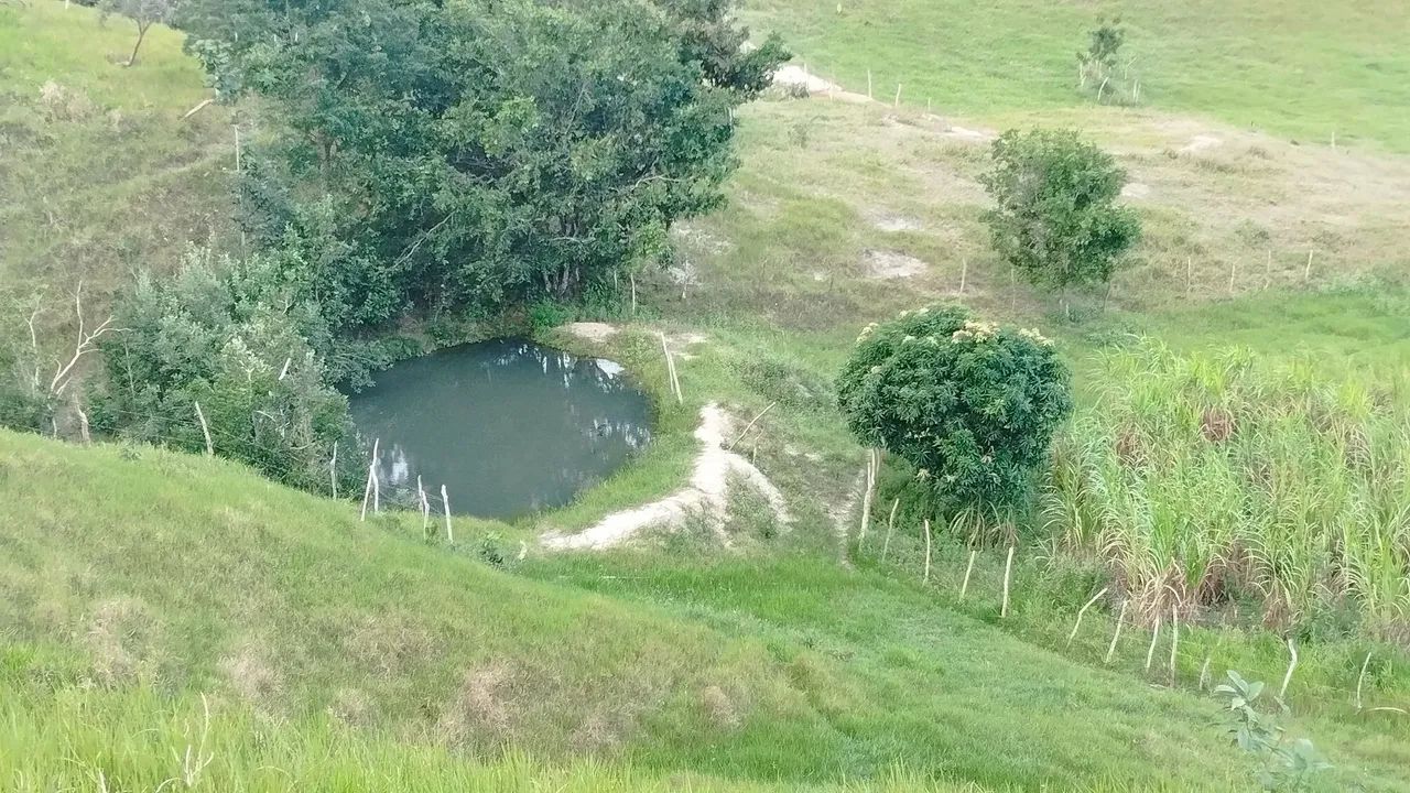 Sítio a venda em itaporanga D'ajuda  - Foto 2