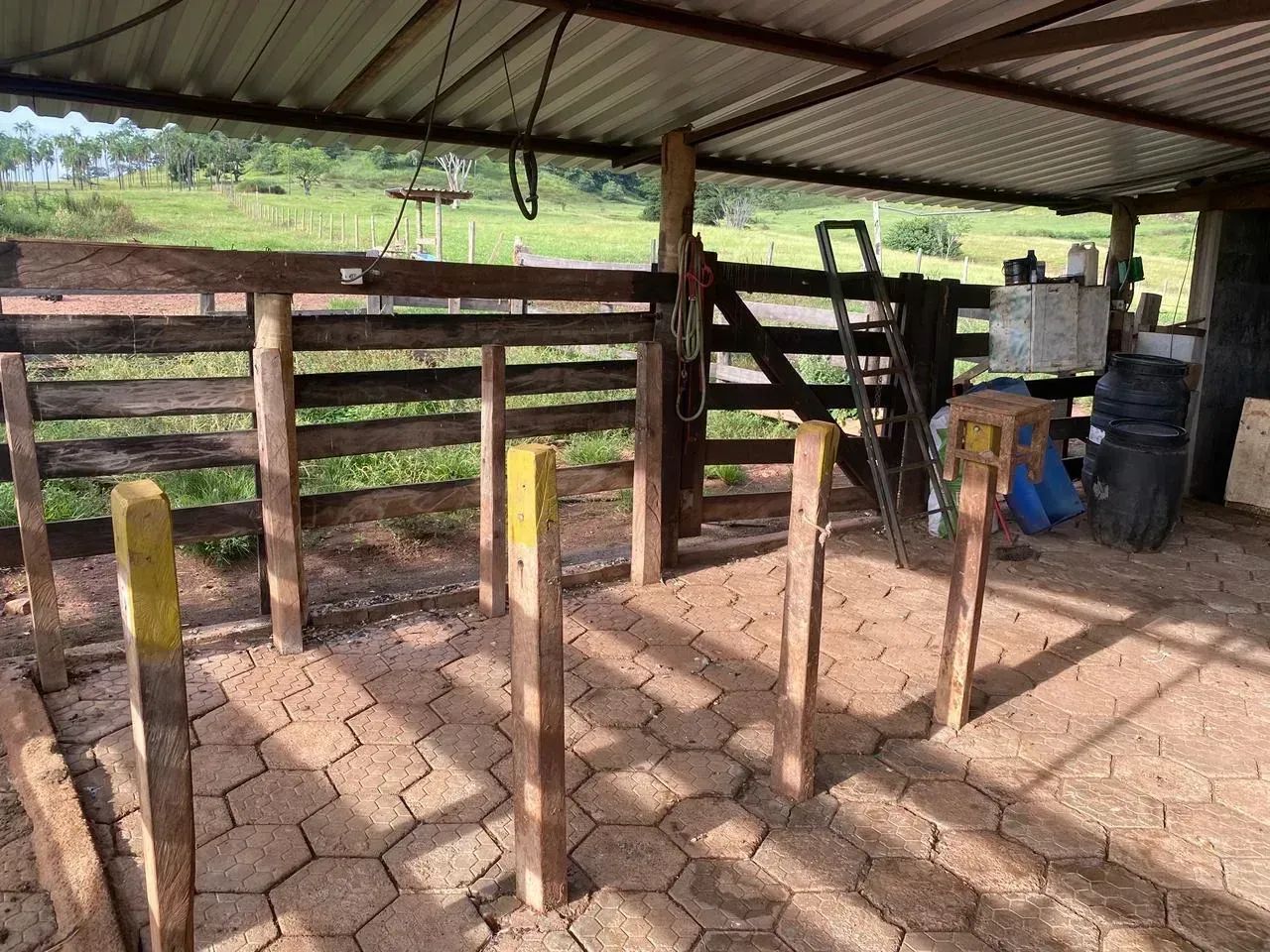 Chácara a venda em Taquaral - Goiás!!! - Foto 3