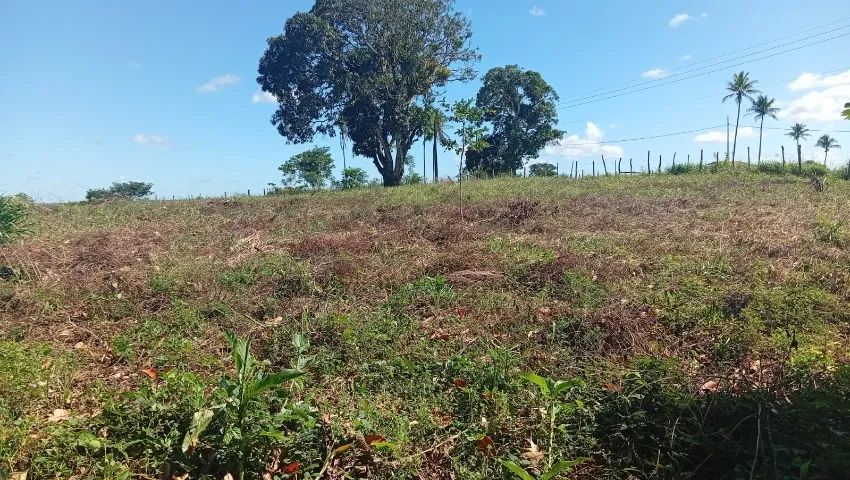 Vende um sítio de 6 tarefas com duas casa  - Foto 3