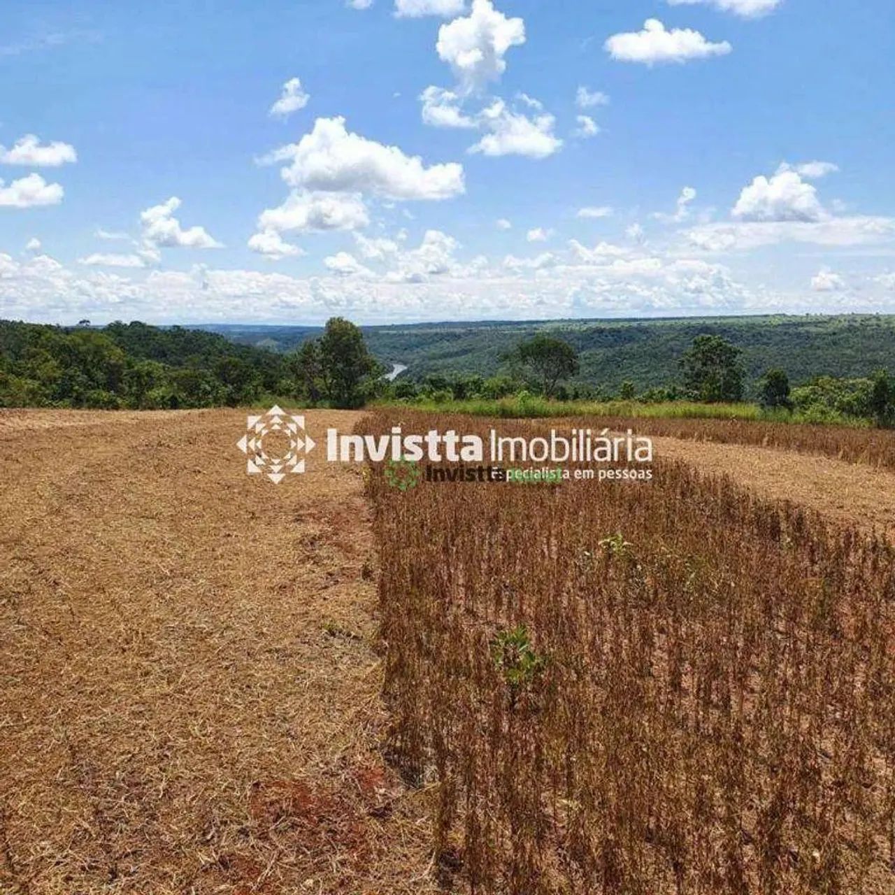 Fazenda de 254 alqueires com projeto para irrigação em Monte do Carmo - Foto 2