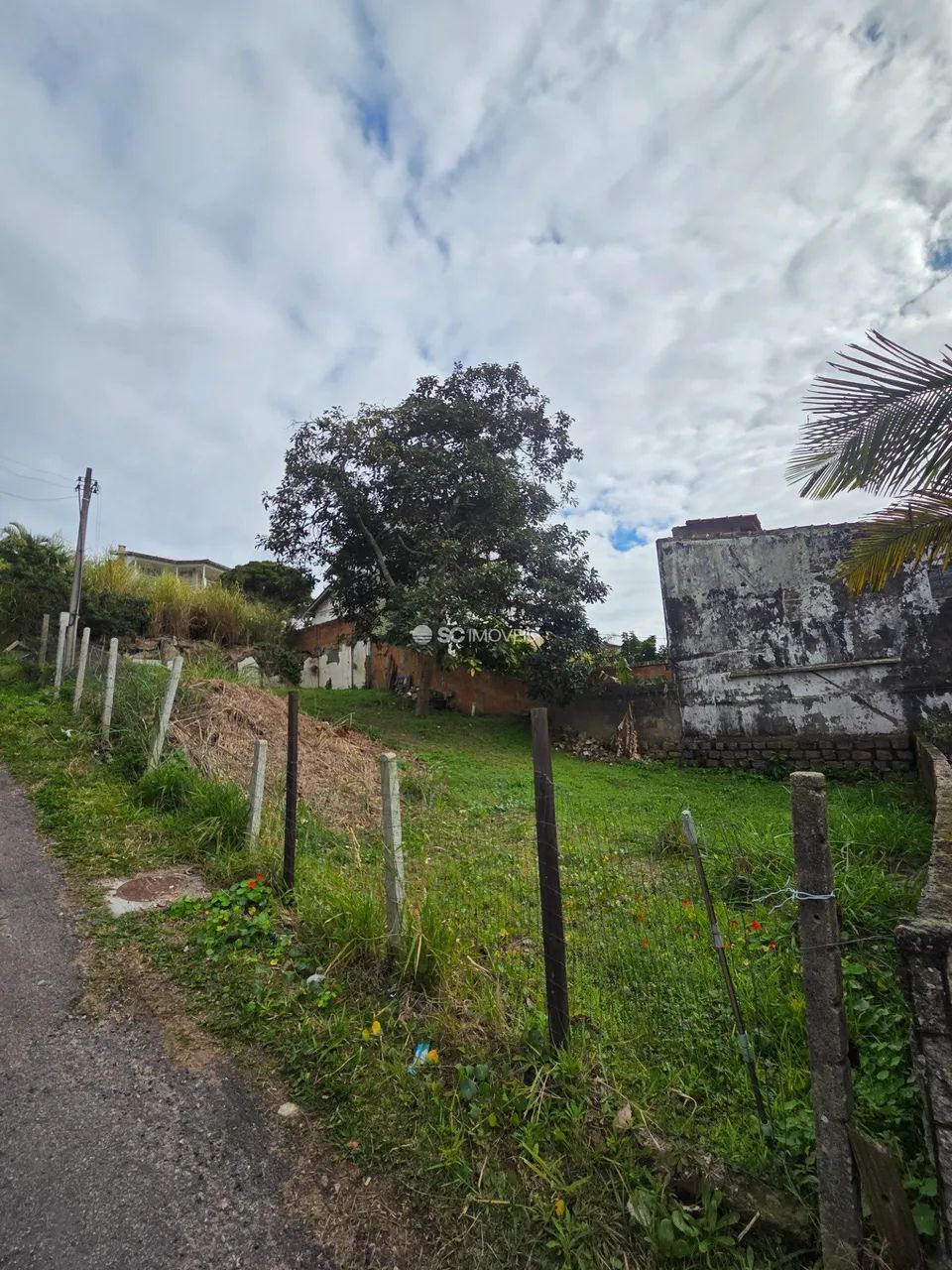 Terreno de 275m² com vista mar - Foto 4