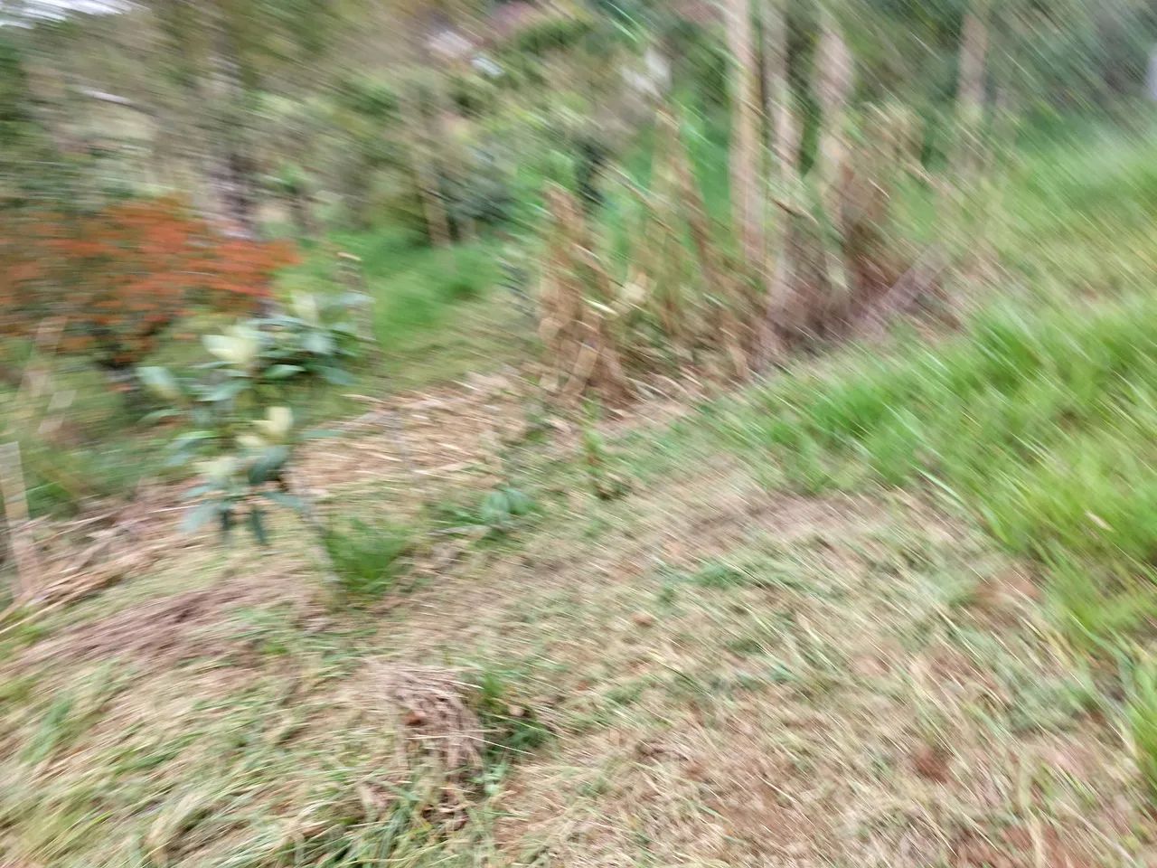 TERRENO PARA CHÁCARA  - Foto 3