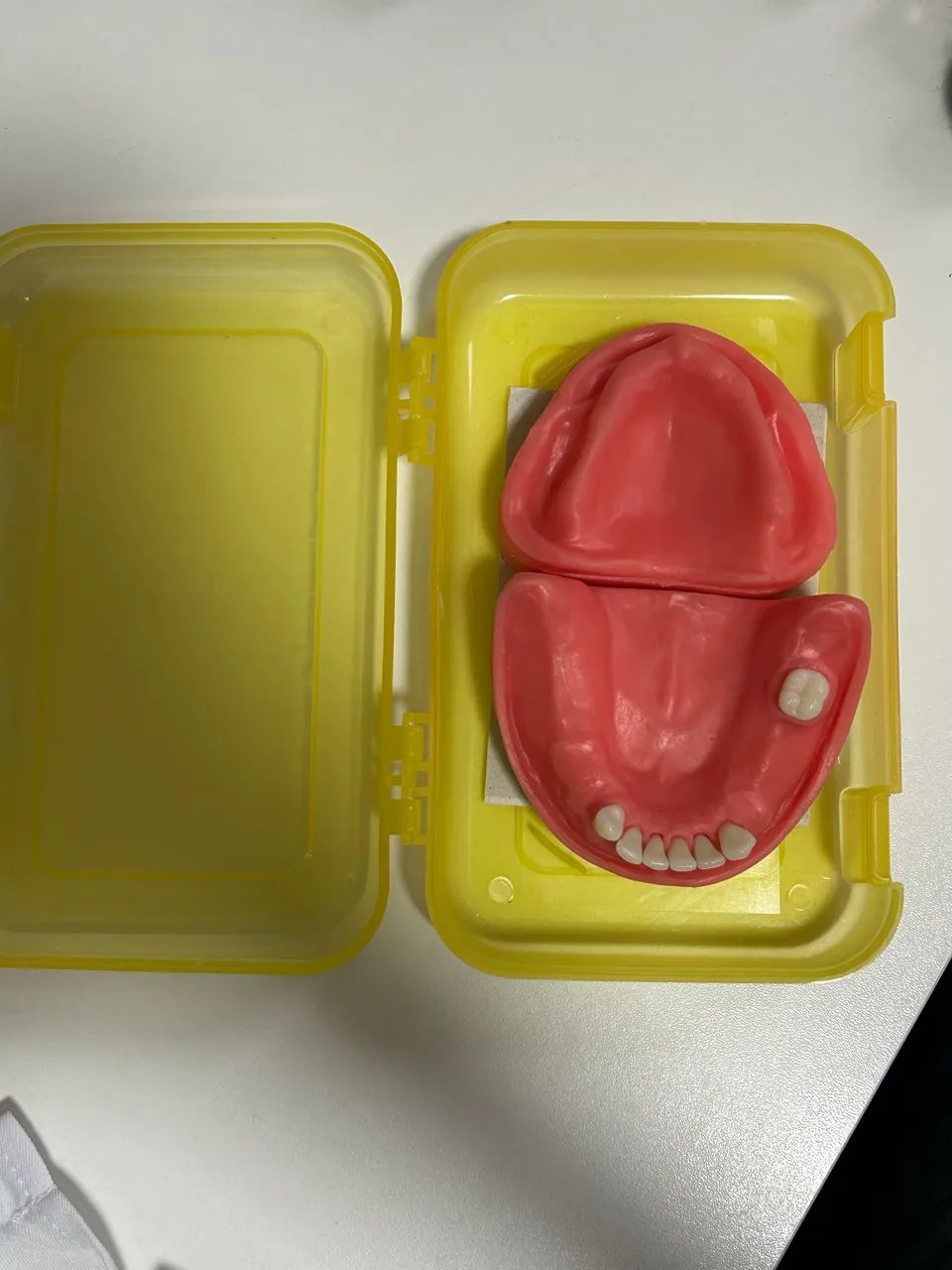 Manequim Pronew Prótese Total e Prótese Parcial Removível - Refil  - Foto 3