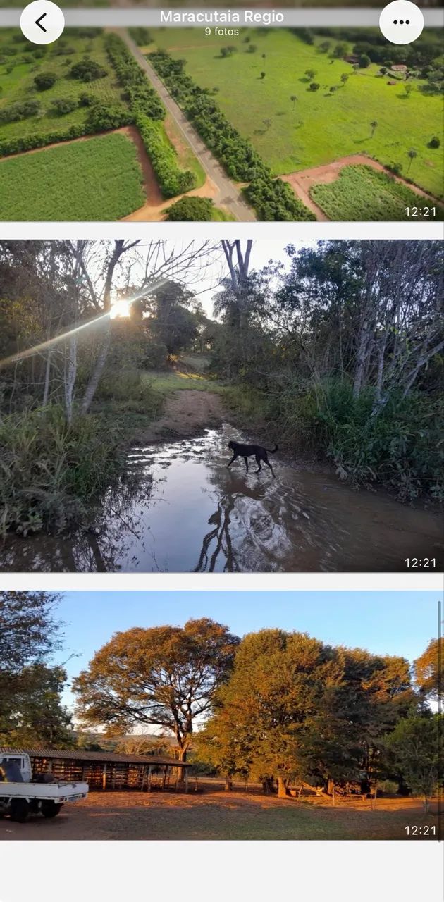 Fazenda próximo a Uberlândia  - Foto 4