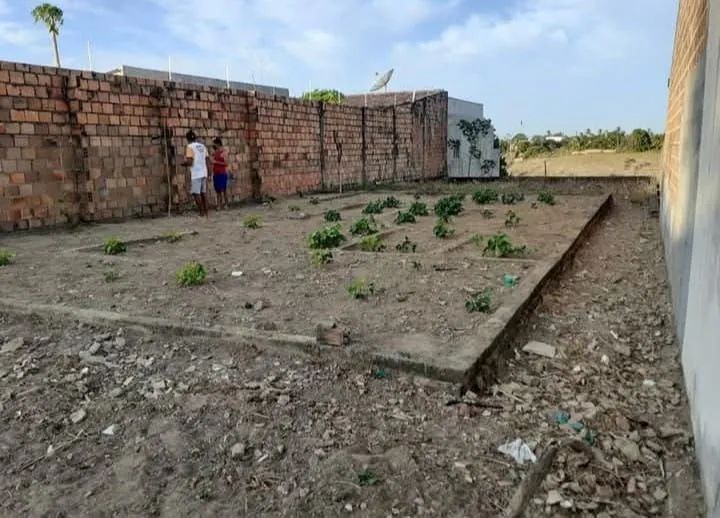 TERRENO NA P.FRANCO  - Foto 3