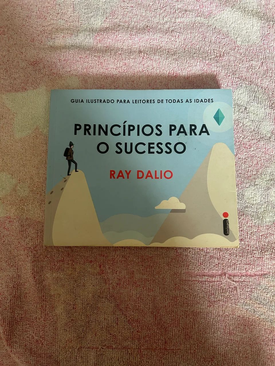 Princípios para o Sucesso - Foto 4