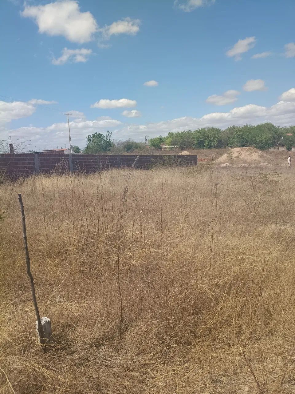 Terreno em Caridade Ce - Foto 5