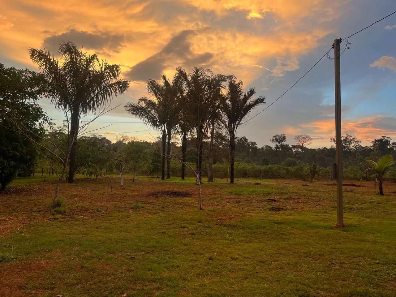 Vende-se sítio localizado no km 42 - Foto 4