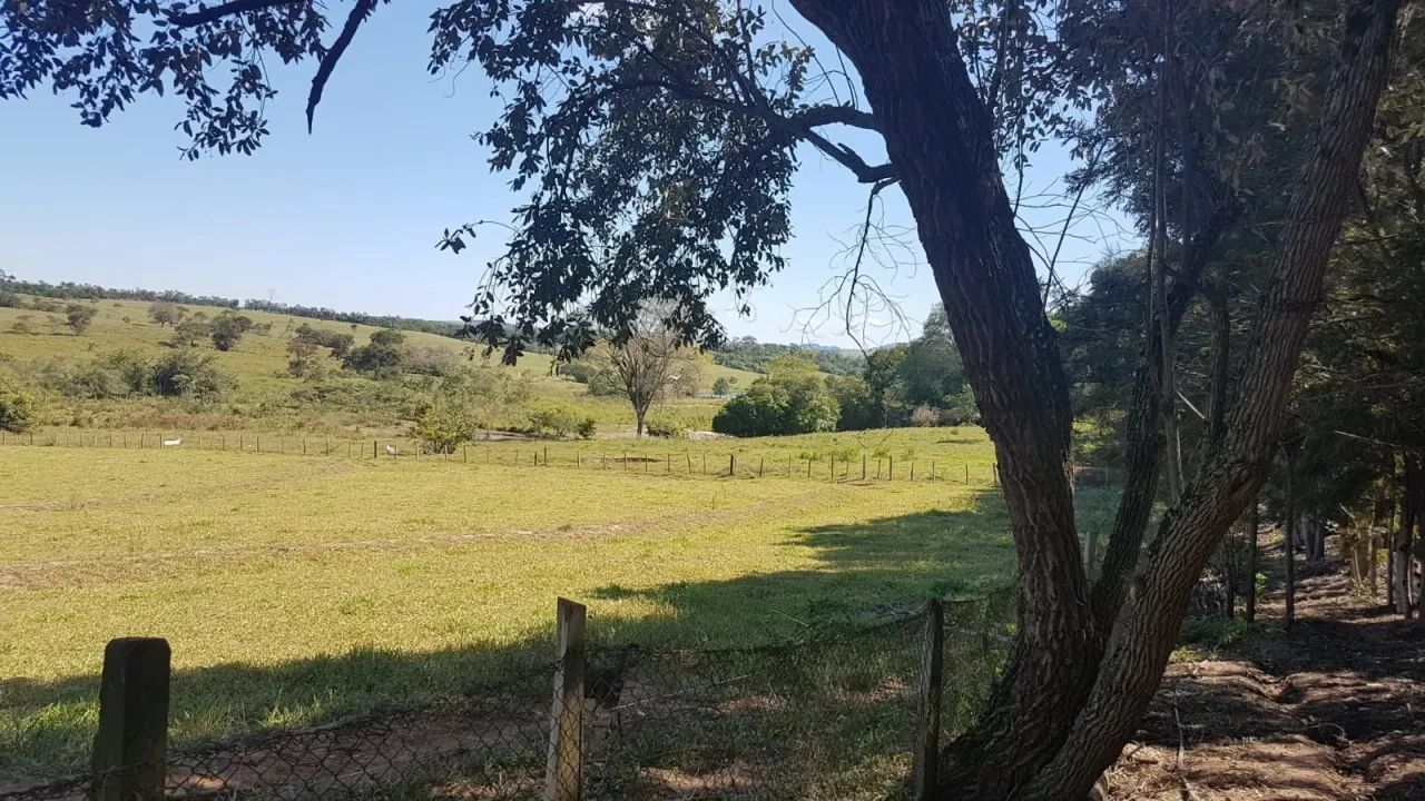 VENDO EXCELENTE SÍTIO EM CONCHAS-SP - Foto 5