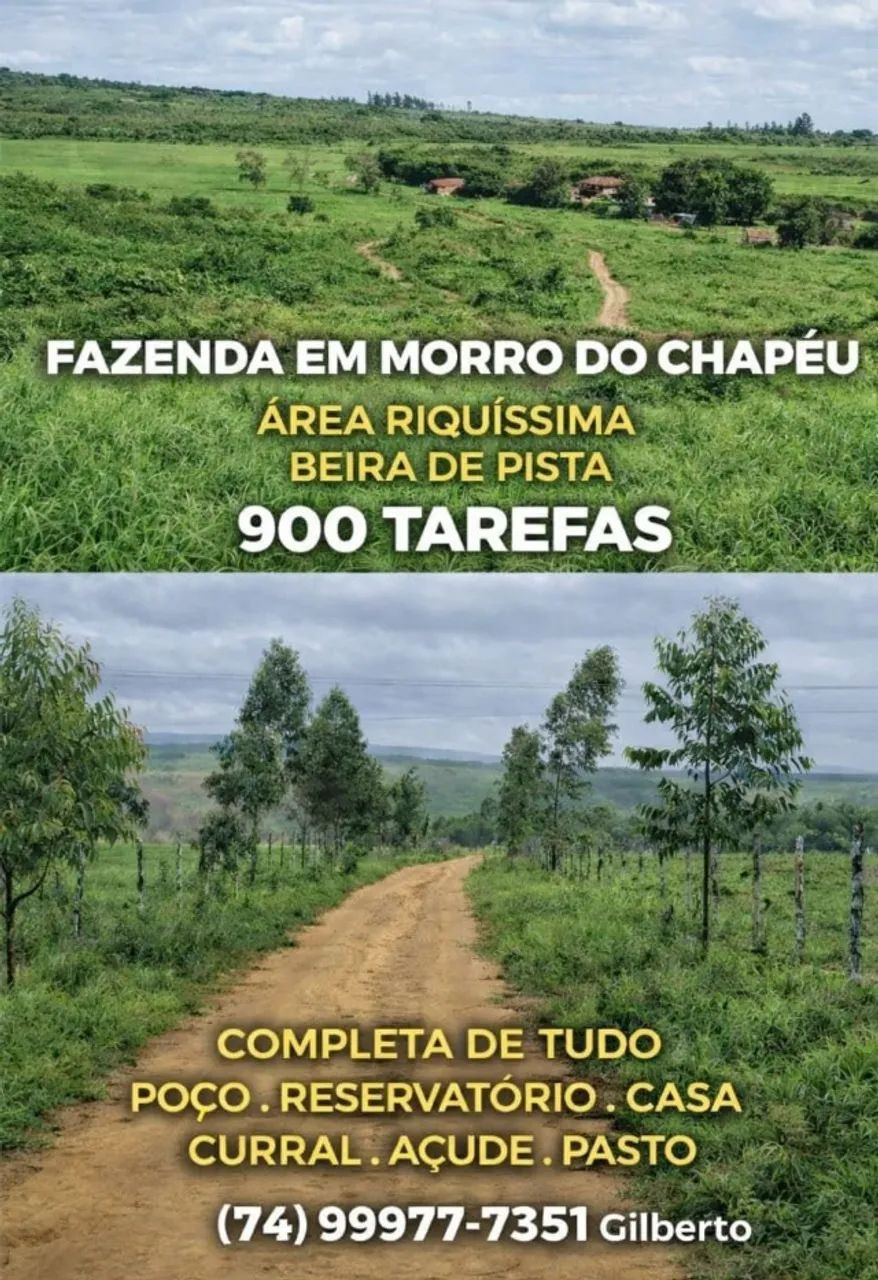 fazenda em Morro do Chapéu