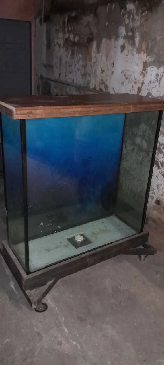 Aquário de 462Litros