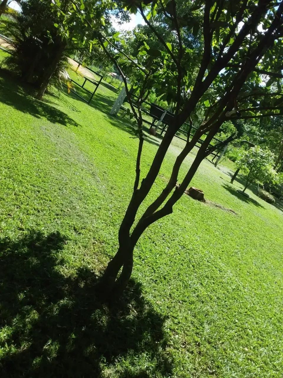 Chácara em Varjão - Foto 5
