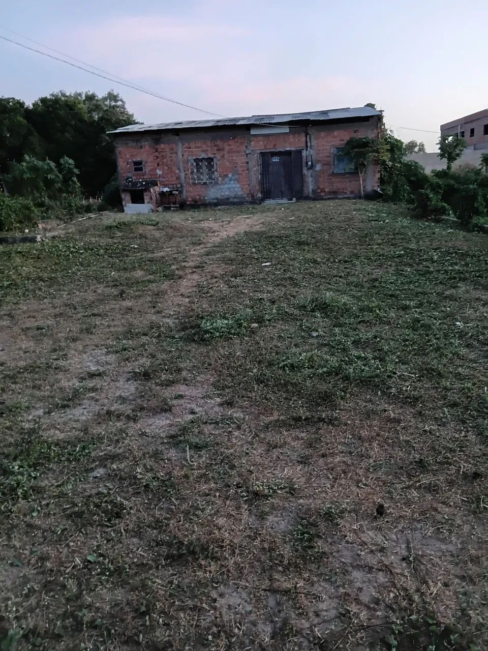 Letícia  - Foto 4