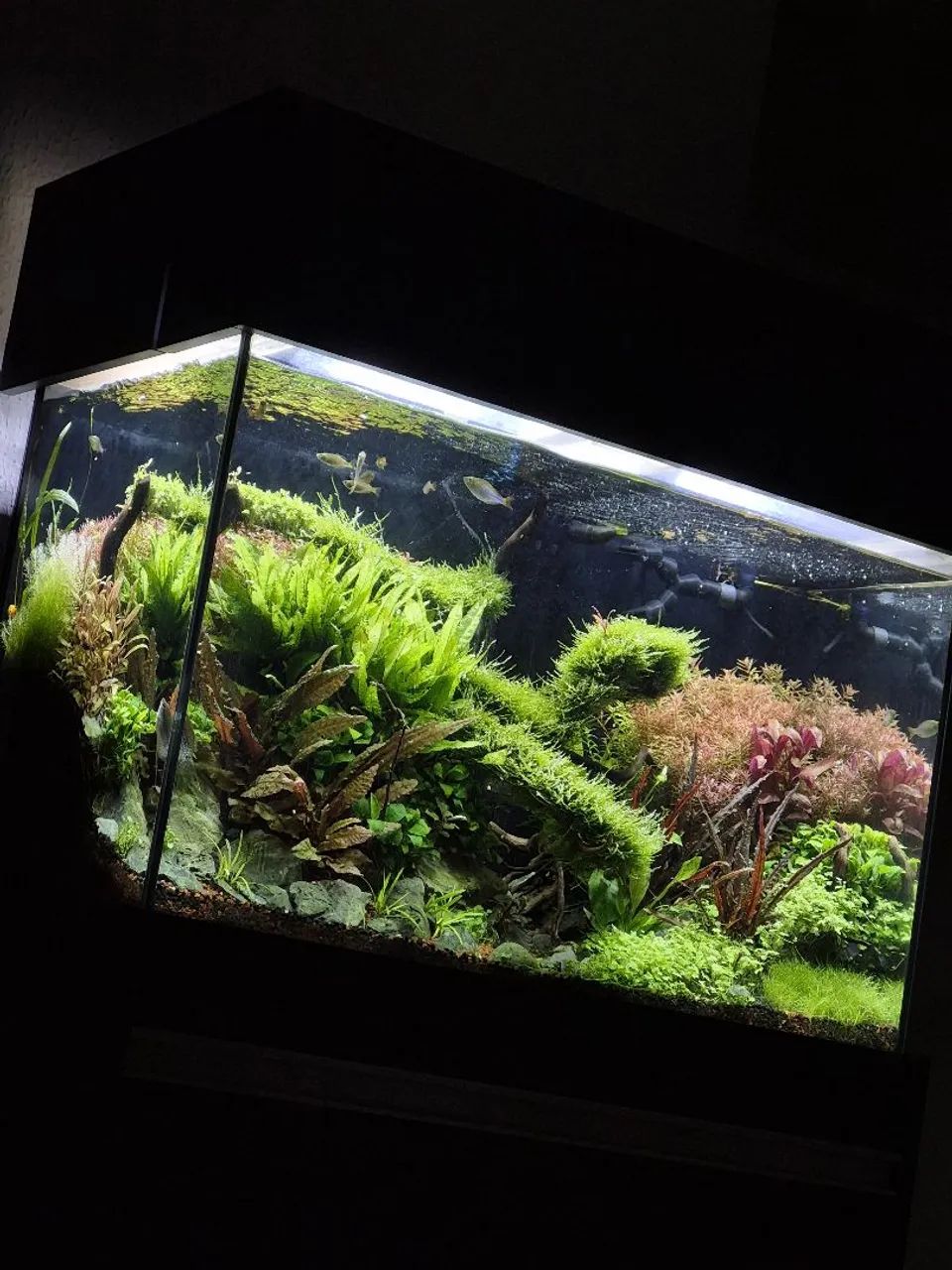 Luminária Week Aqua L900Pro-K<br> - Foto 5
