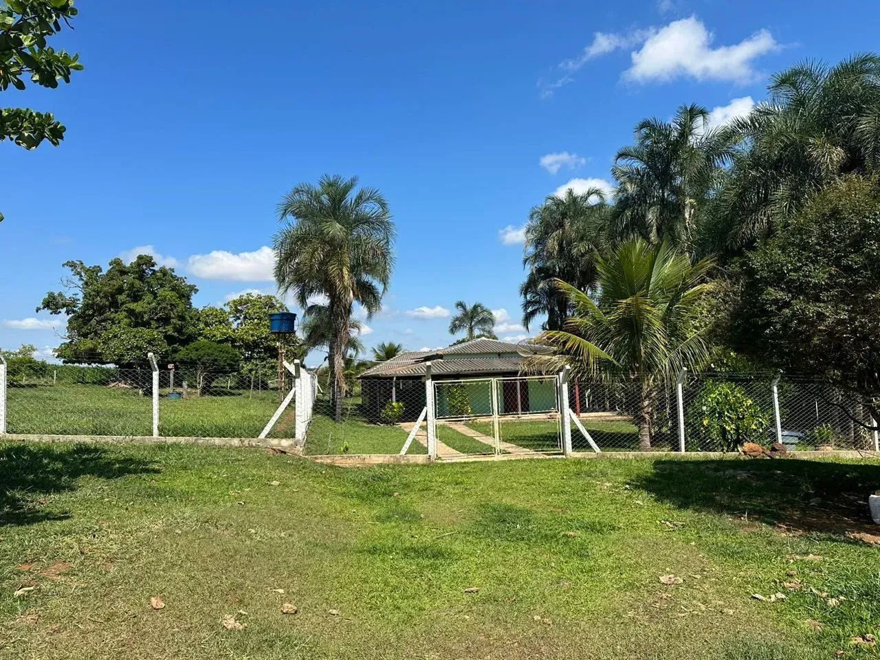 Fazenda 15.5 alqueires - Goianápolis - GO - Foto 2