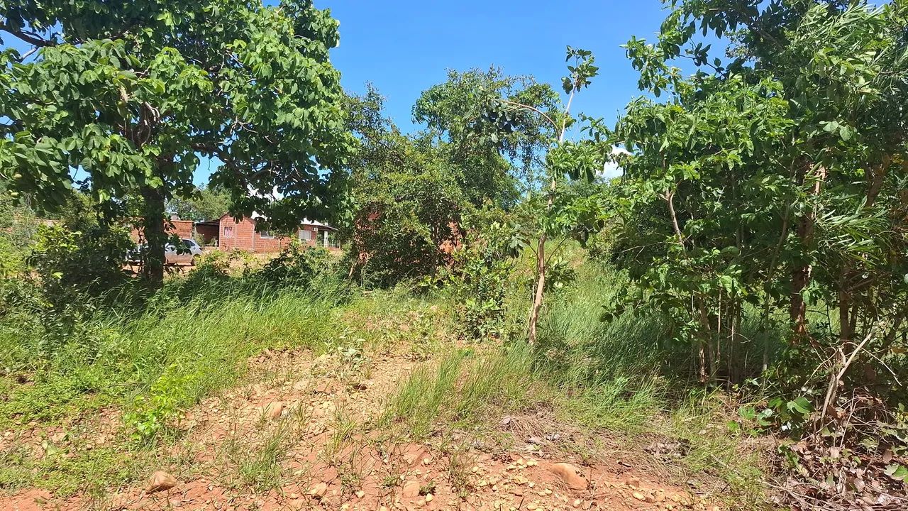 Foto - Campo Grande - Amambaí