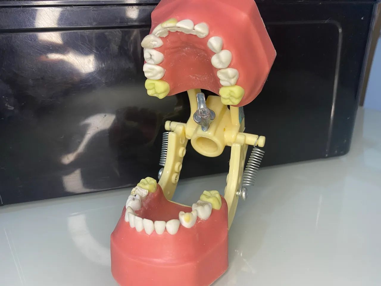 Manequim Odontopediatria  - Foto 4
