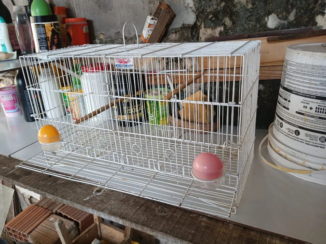 Gaiola para reprodução - Foto 2