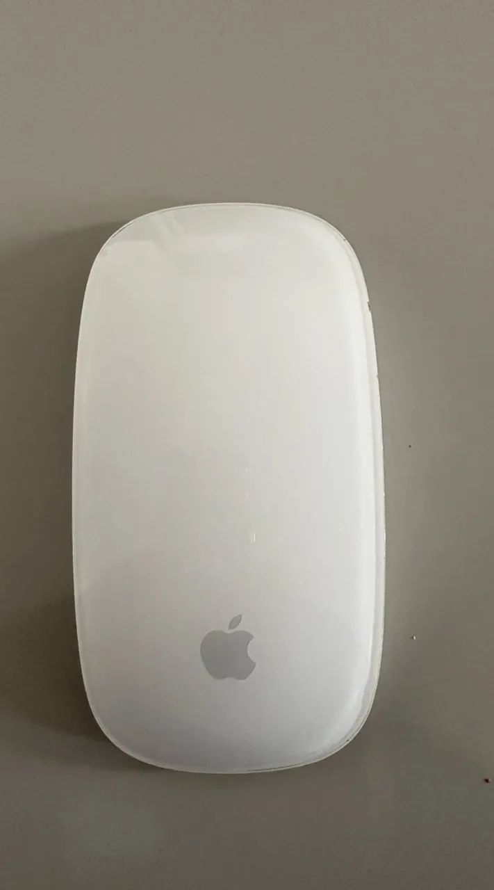 Mouse Magic Apple LG