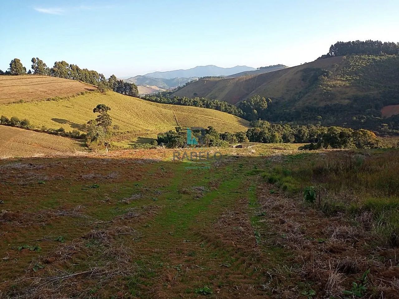 SÍTIO SEM BENFEITORIAS EM MARIA DA FÉ-MG - Foto 4