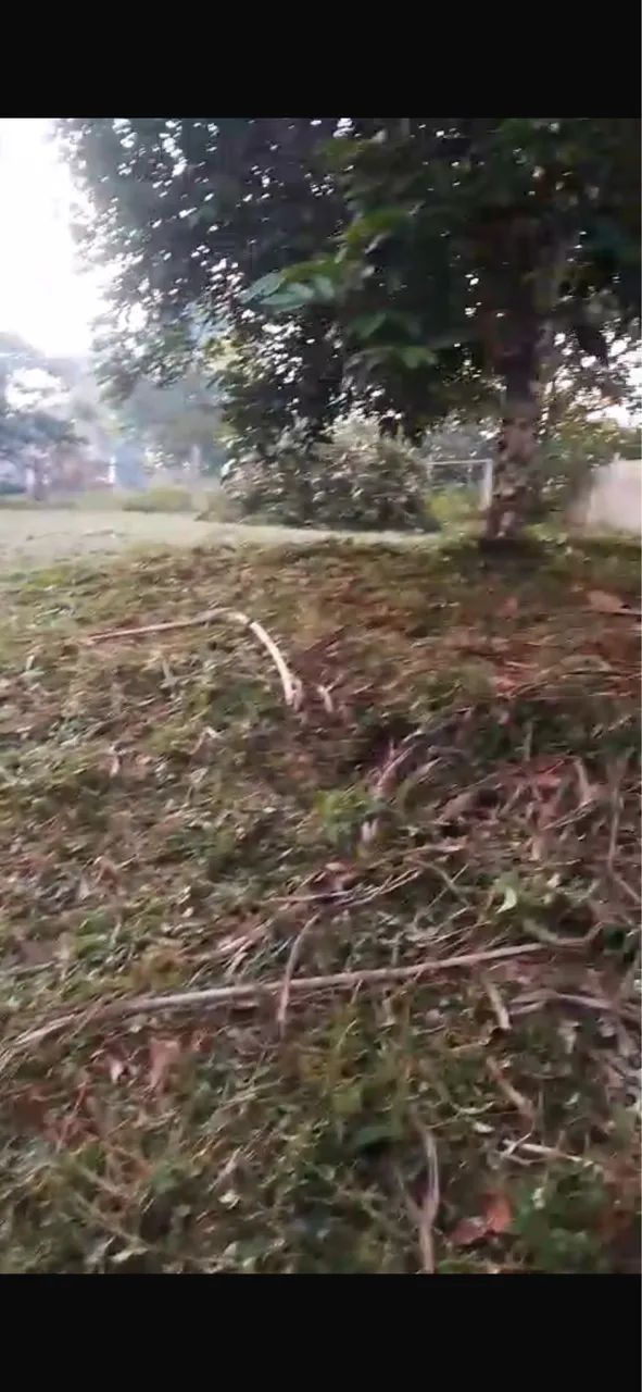 Terreno para sítio com Igarapé em Benevides  - Foto 5