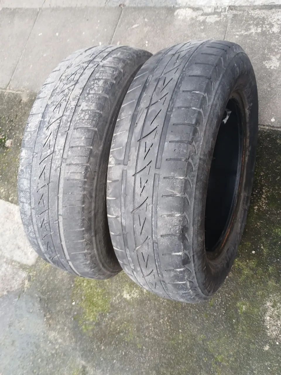 Peneus excelente  - Foto 2