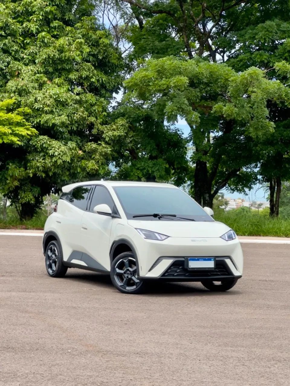 BYD Dolphin Mini 2024 - Foto 2