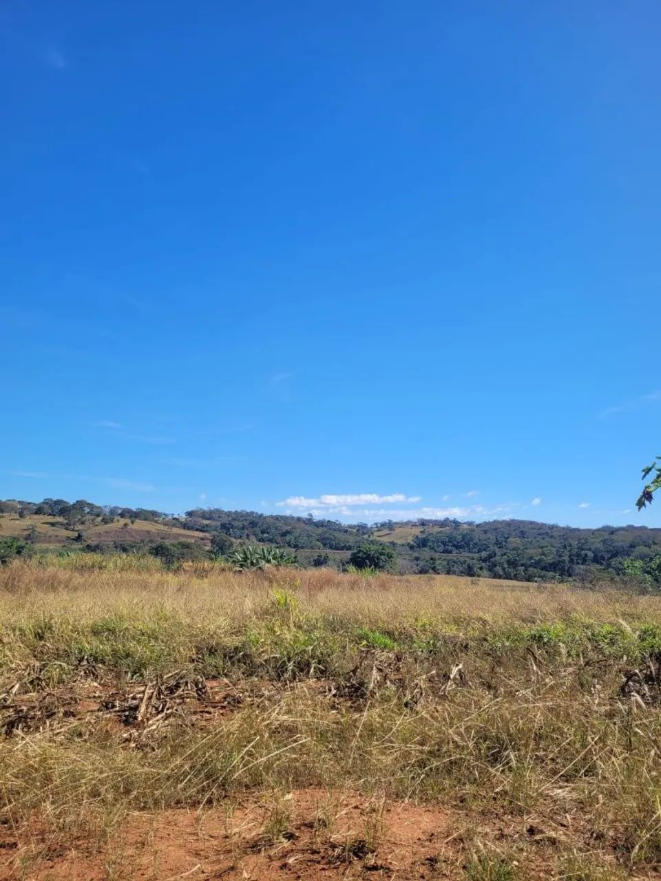 OPORTUNIDADE! CHÁCARA Á VENDA ENTRE NOVA VENEZA E NERÓPOLIS - Foto 2