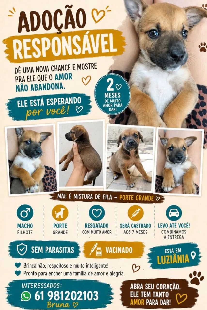 Doação - Foto 2