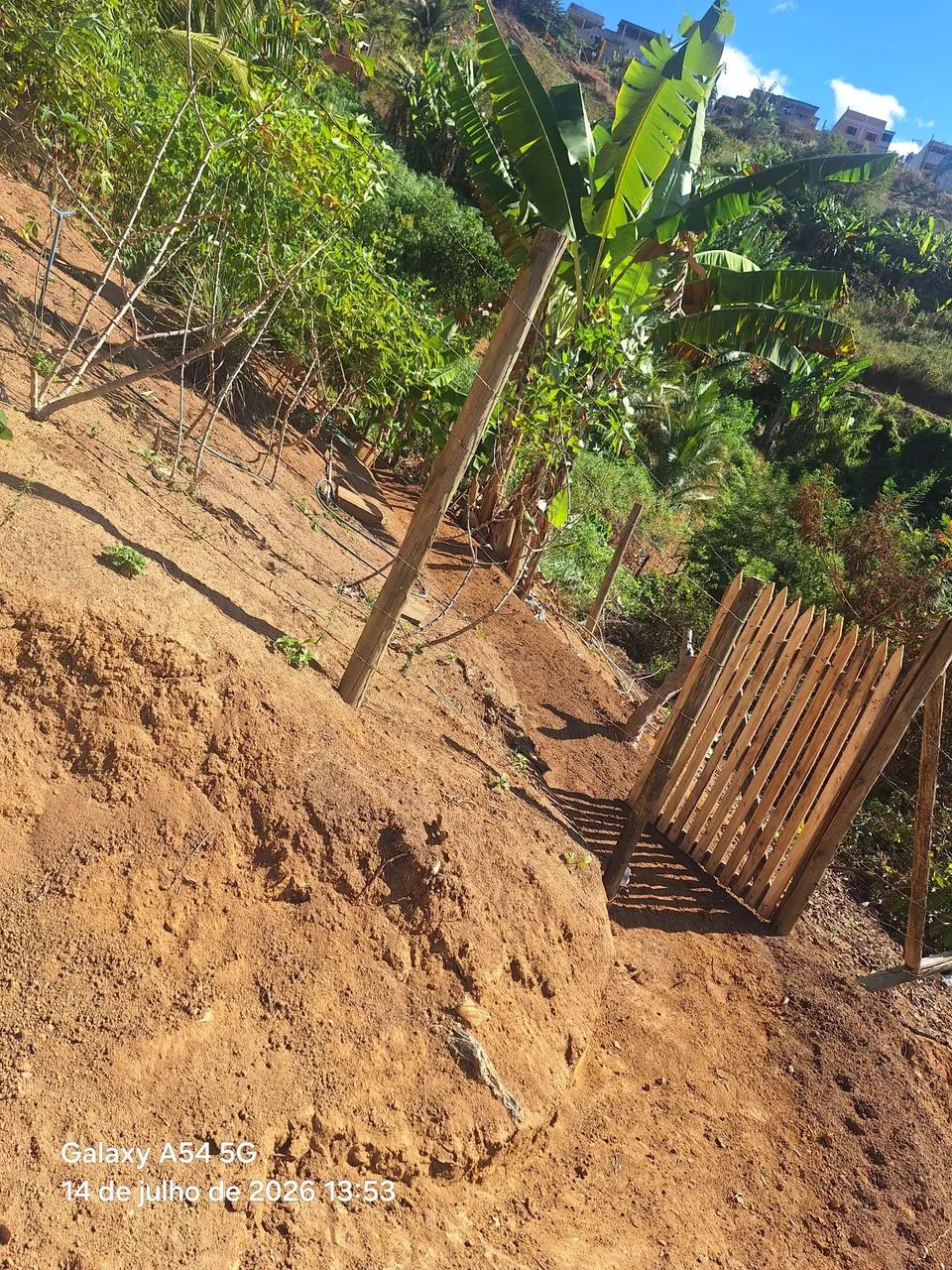 Venda