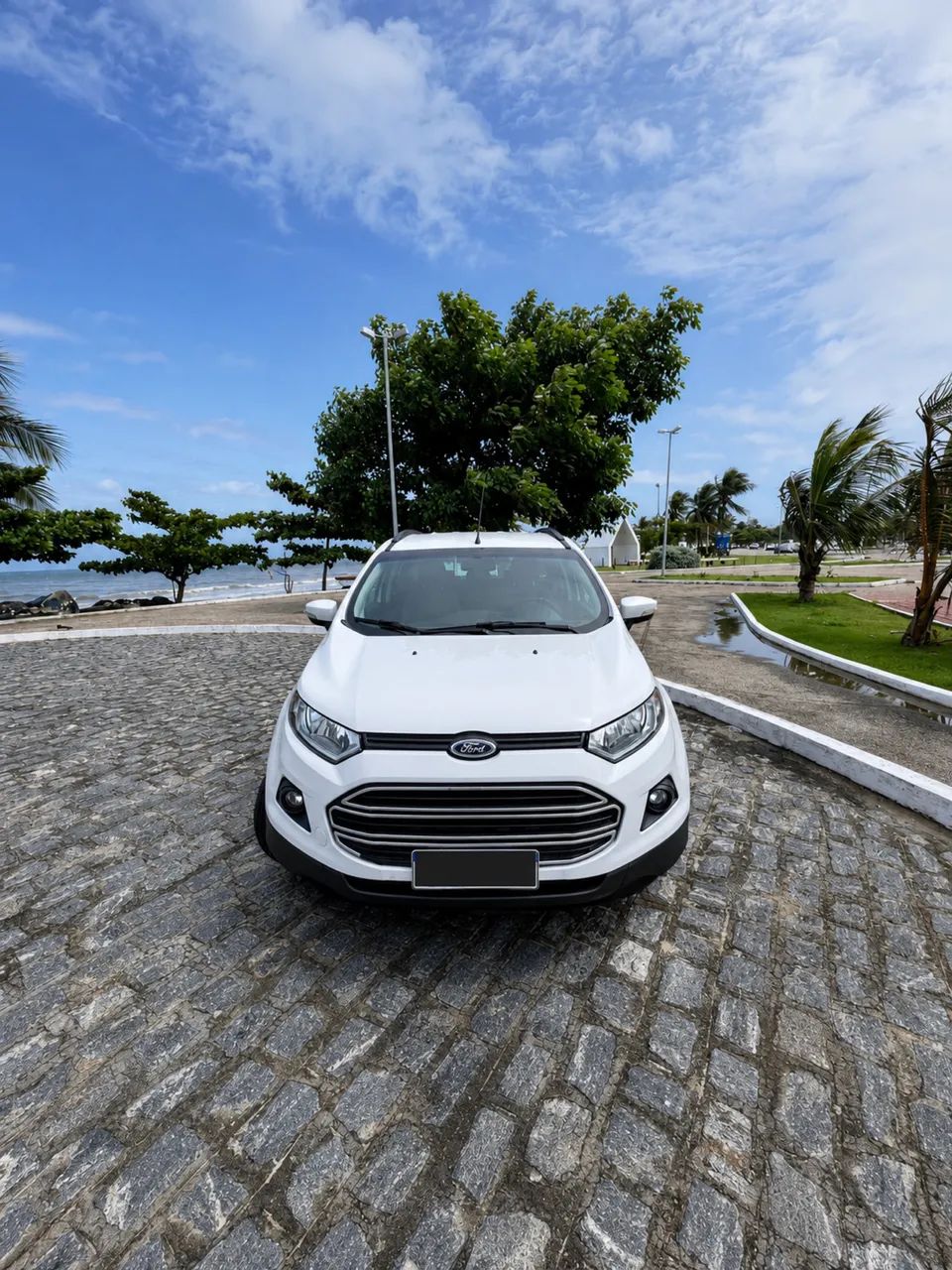 Ford Ecosport EcoSport SE 1.6 16V Flex 5p Aut. 2017