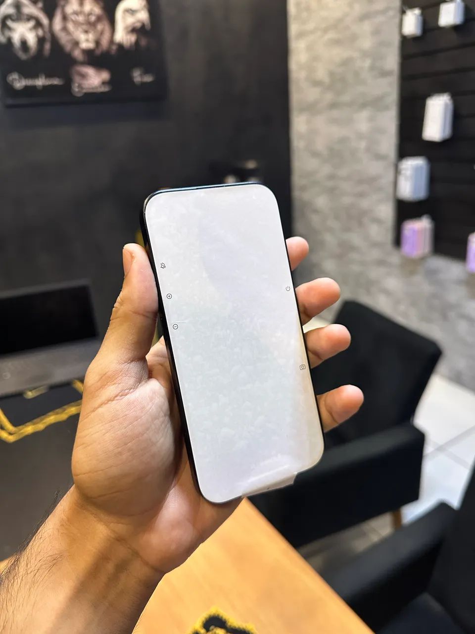 iPhone 16 256GB 100%