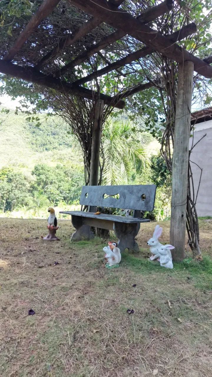 Vende-se lindo sítio em Pau Dóleo  Circuito Turístico de Guarapari-ES - Foto 11