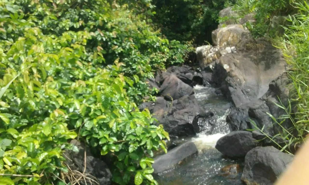 sítio localizado são Lourenço da mata  - Foto 4