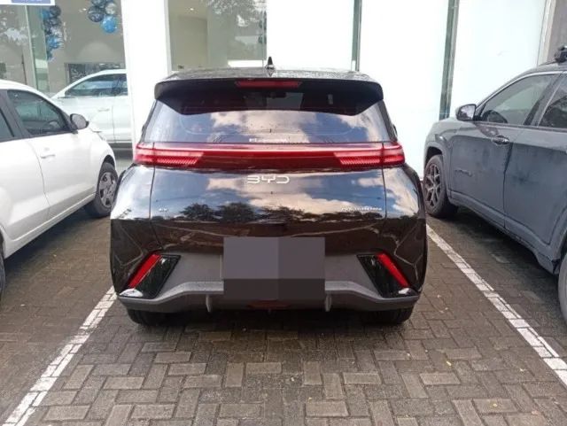 BYD Dolphin Mini (Elétrico) 2027 - Foto 4
