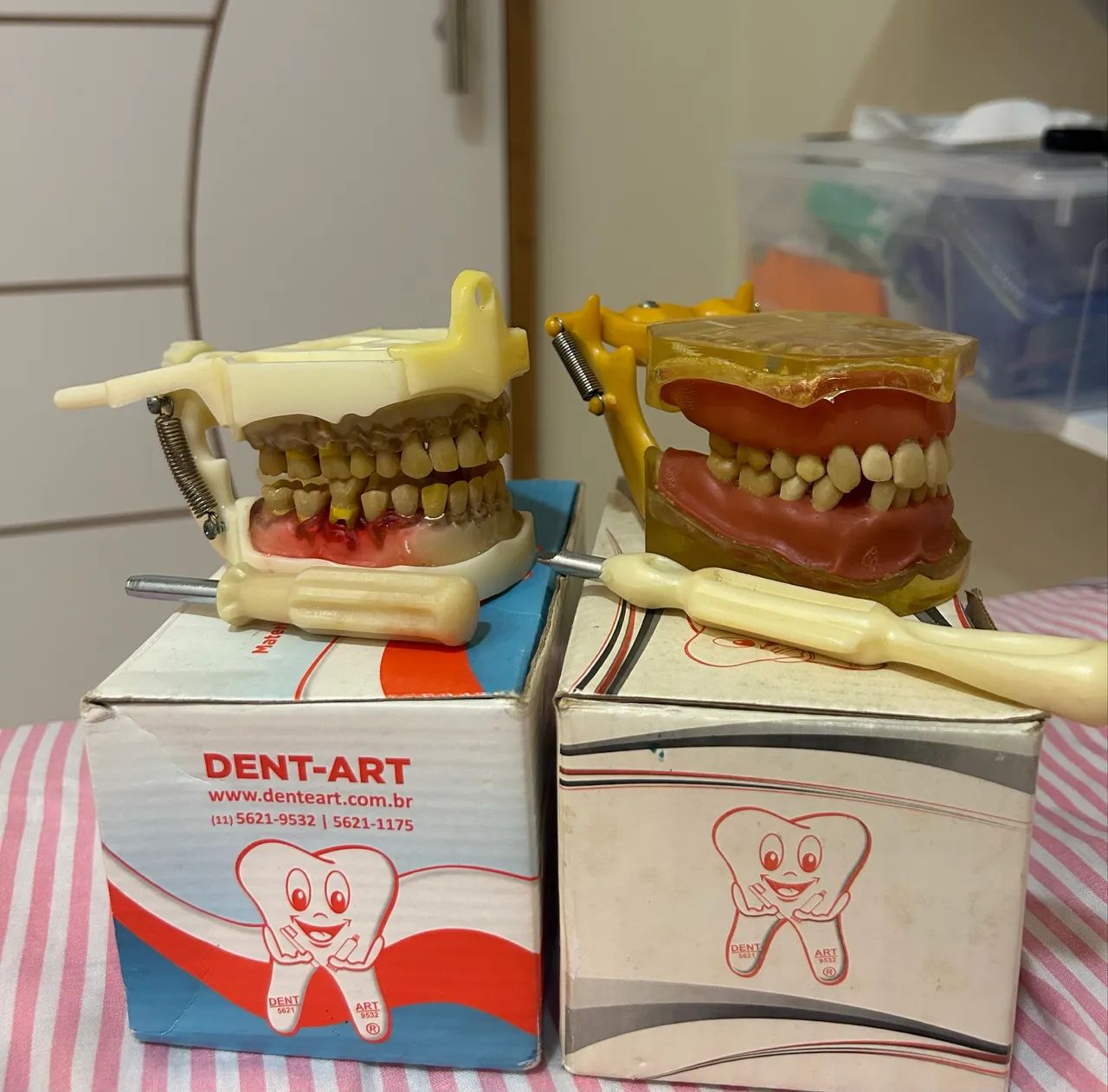 2 Manequins Odontológicos - Excelente Estado