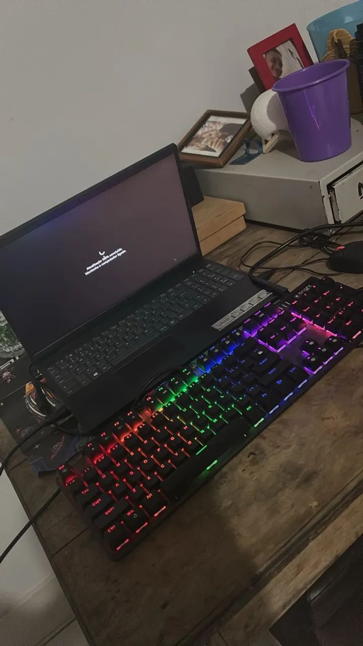 Notebook vaio 
