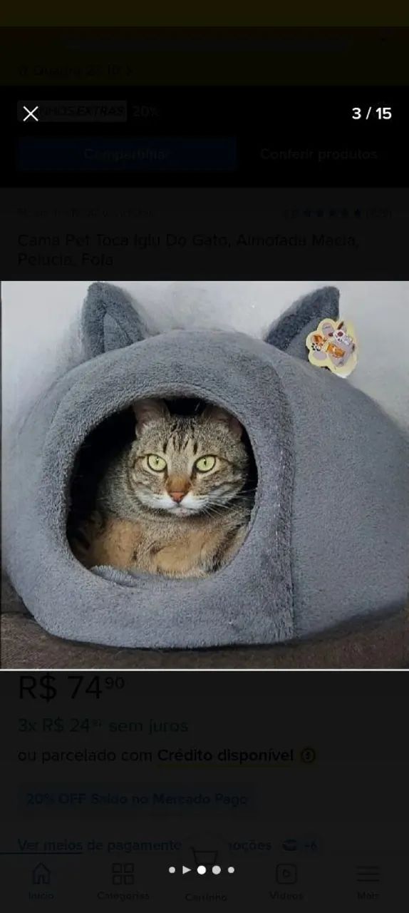 Caminha para gato