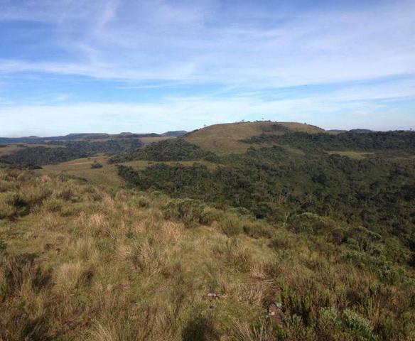 Fazenda em Urubici - SC - Foto 7