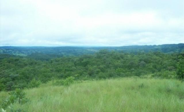 Venda de uma Fazenda- 25 alqueires - Arenópolis-GO - Foto 5