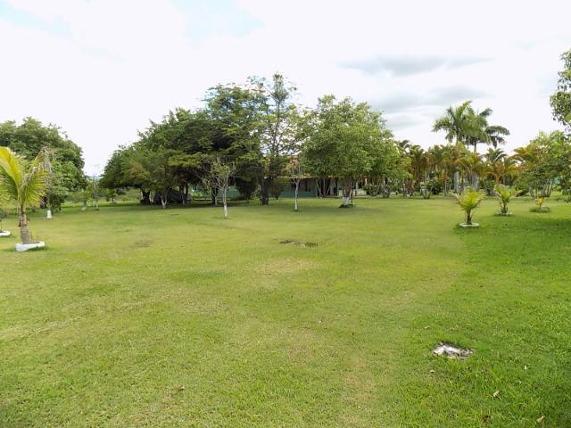 Chácara de 6.000 m², local perto da cidade (Nogueira imóveis) - Foto 9
