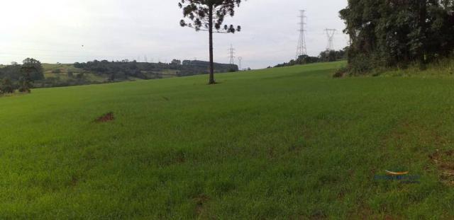 Sítio à venda, 387200 m² por R$ 3.891.200 - - Foto 6