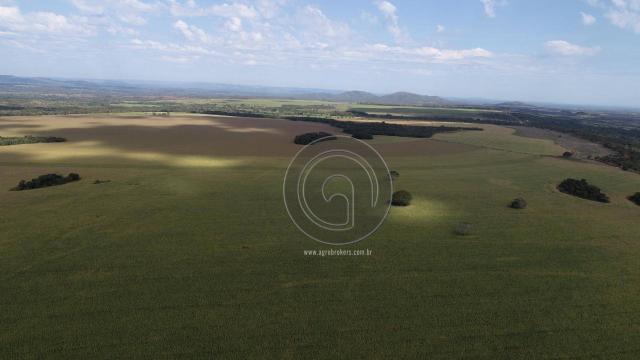 Fazenda à venda, 978 ha, região do manso - Foto 5