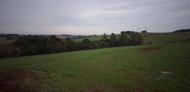 Sítio à venda, 387200 m² por R$ 3.891.200 - - Foto 5
